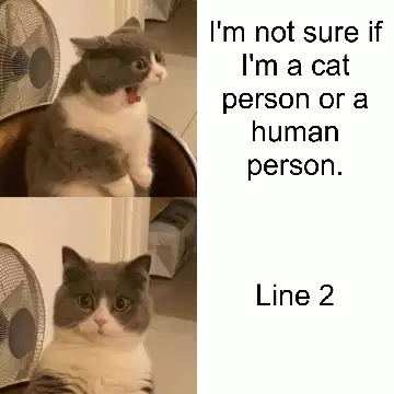 I'm not sure if I'm a cat person or a human person. meme