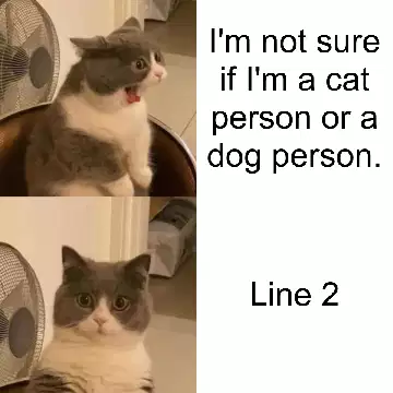 I'm not sure if I'm a cat person or a dog person. meme