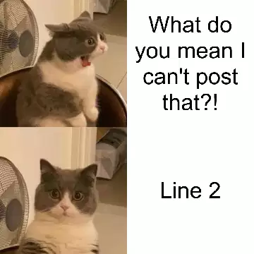 What do you mean I can't post that?! meme