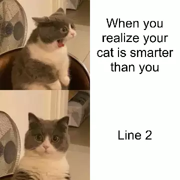 When you realize your cat is smarter than you meme