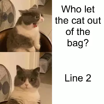 Who let the cat out of the bag? meme