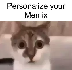 cat-shock-wide-eyes