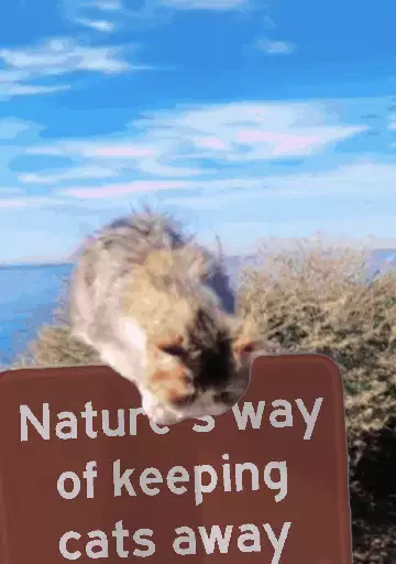 Nature's way of keeping cats away meme