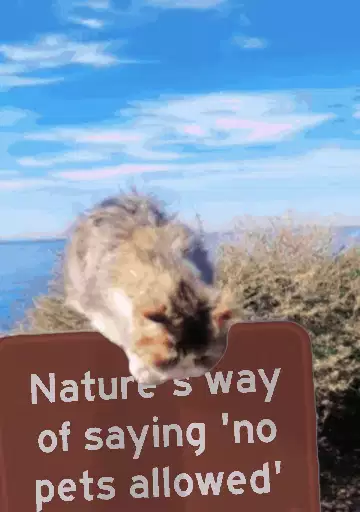 Nature's way of saying 'no pets allowed' meme
