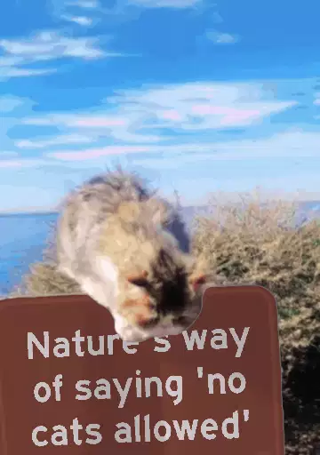 Nature's way of saying 'no cats allowed' meme
