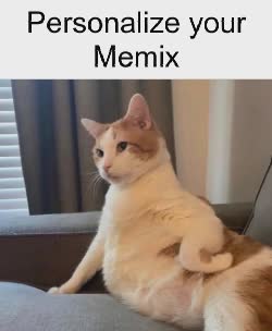 cat-thinking
