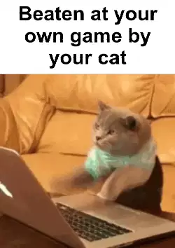 Beaten at your own game by your cat meme