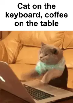 Cat on the keyboard, coffee on the table meme