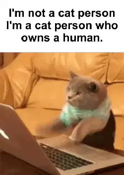 I'm not a cat person I'm a cat person who owns a human. meme