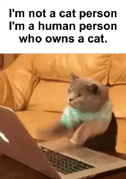 I'm not a cat person I'm a human person who owns a cat. meme