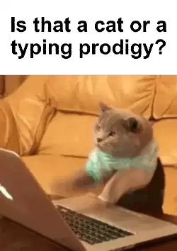 Is that a cat or a typing prodigy? meme