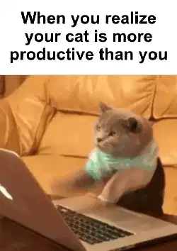When you realize your cat is more productive than you meme