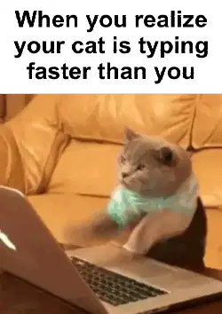 When you realize your cat is typing faster than you meme