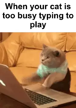 When your cat is too busy typing to play meme