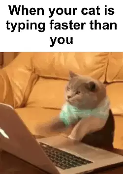 When your cat is typing faster than you meme