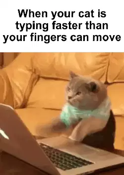 When your cat is typing faster than your fingers can move meme