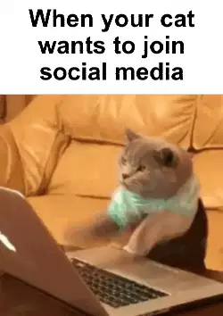 When your cat wants to join social media meme