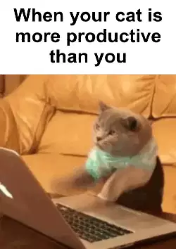 When your cat is more productive than you meme