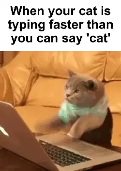 When your cat is typing faster than you can say 'cat' meme