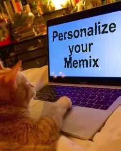 A Cat Looks At Computer 