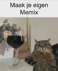 Cat Enjoys Glass Of Wine 