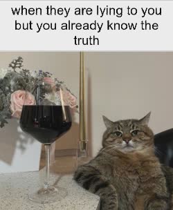 Cat Enjoys Glass Of Wine 