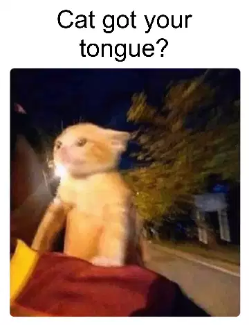 Cat got your tongue? meme