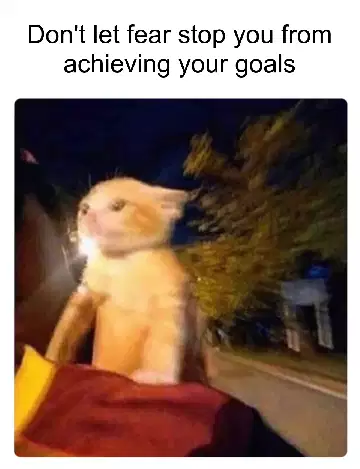 Don't let fear stop you from achieving your goals meme