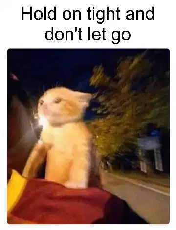 Hold on tight and don't let go meme