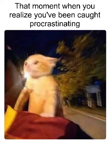 That moment when you realize you've been caught procrastinating meme