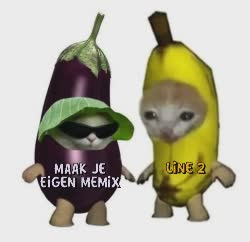 cats-banana-eggplant