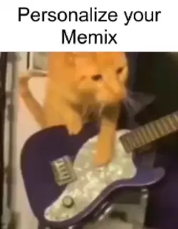cats-playing-music