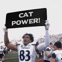 Cat power! meme