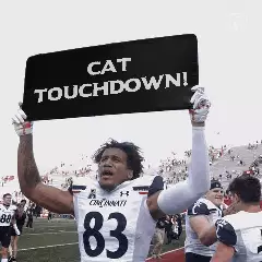Cat touchdown! meme