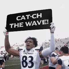 Cat-ch the wave! meme