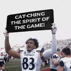 Cat-ching the spirit of the game! meme