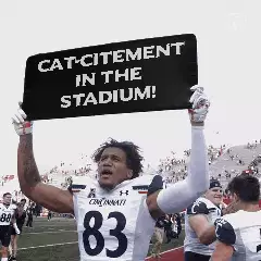 Cat-citement in the stadium! meme