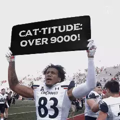Cat-titude: Over 9000! meme