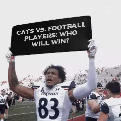 Cats vs. Football Players: Who will win? meme