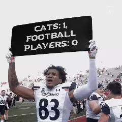 Cats: 1, Football Players: 0 meme