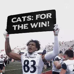 Cats: For the win! meme