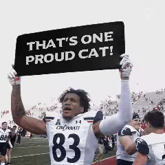 That's one proud cat! meme