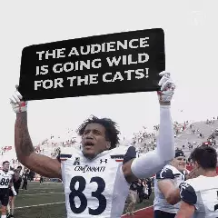 The audience is going wild for the cats! meme