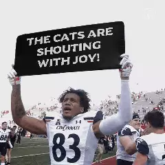The cats are shouting with joy! meme