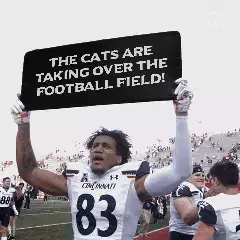 The cats are taking over the football field! meme