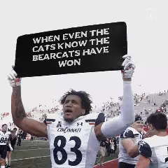 When even the cats know the Bearcats have won meme