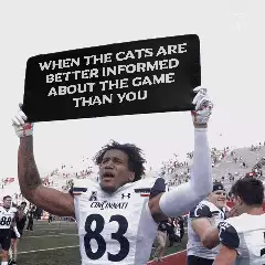 When the cats are better informed about the game than you meme