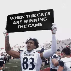 When the cats are winning the game meme
