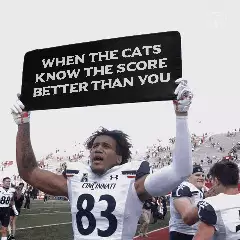 When the cats know the score better than you meme