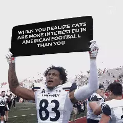 When you realize cats are more interested in American football than you meme